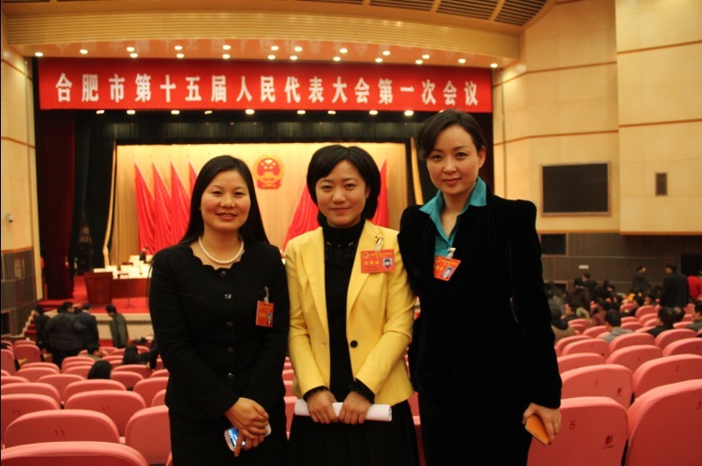 合肥市第十五屆人大代表與人大常委劉燕董事長（右一）合影