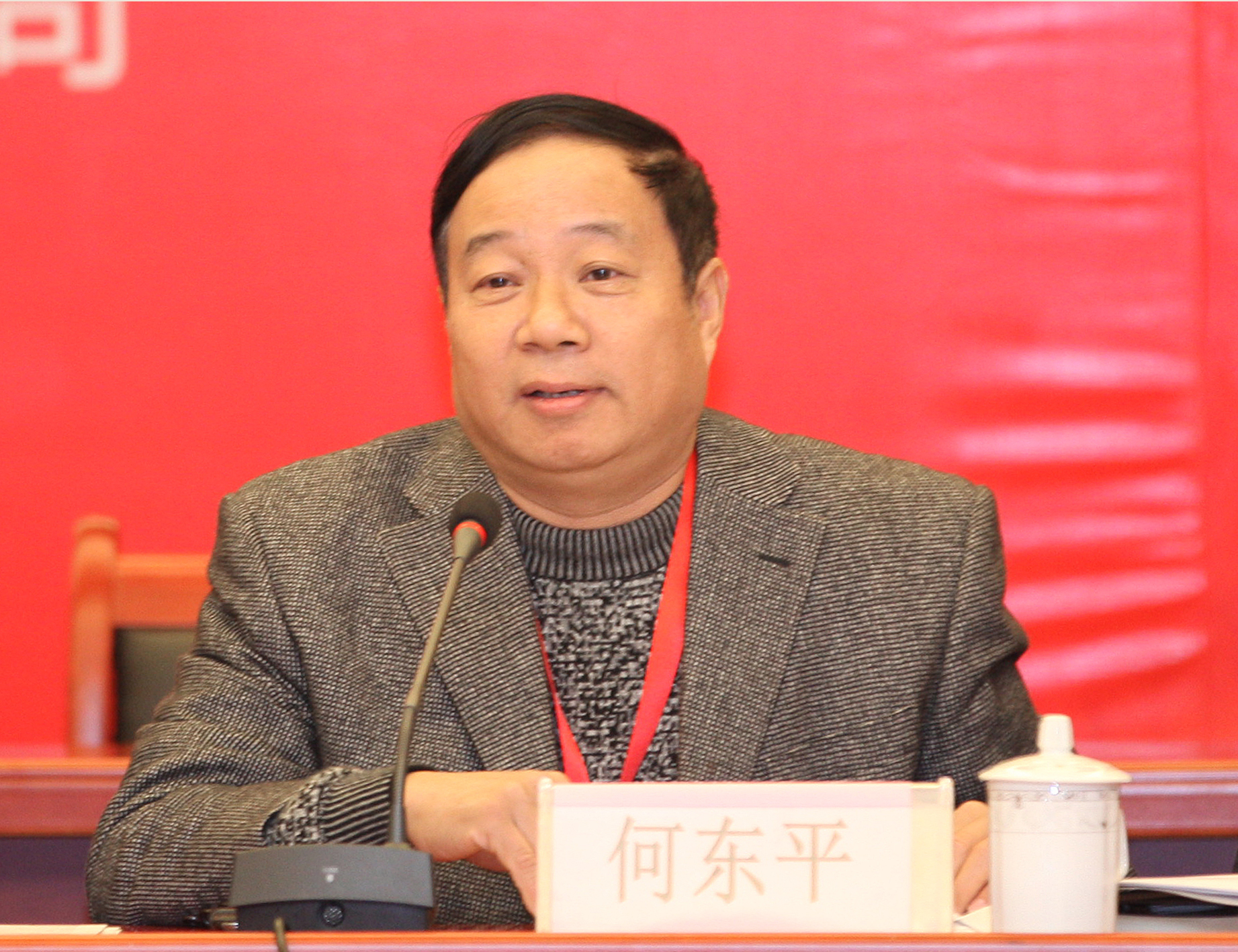 武漢工業(yè)學(xué)院何東平教授